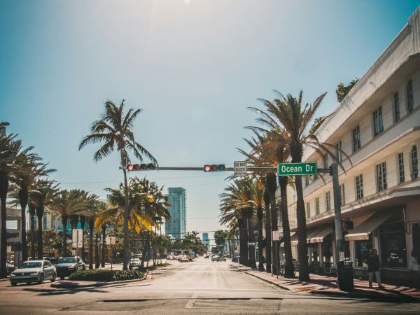 Street scene with palm trees, a building, and an "Ocean Dr" sign under a bright sun.