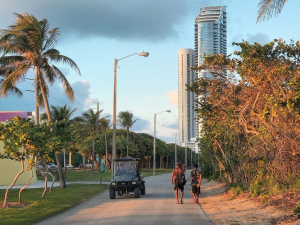 A path with two people walking and a vehicle passing, surrounded by palm trees and a tall building in the background.