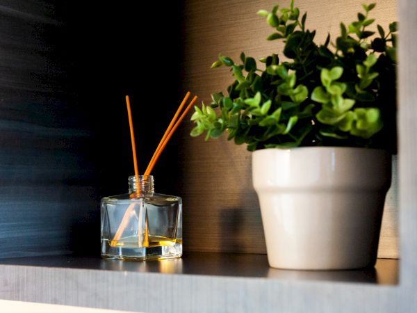 A potted plant and a reed diffuser with sticks are placed on a shelf, creating a decorative arrangement.