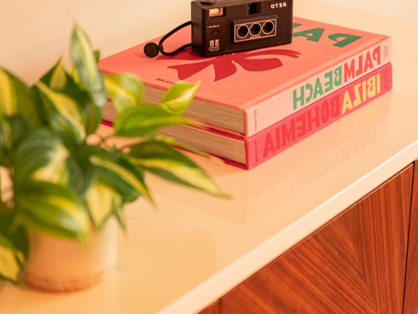 A retro camera sits on two colorful books beside a plant on a wooden cabinet.