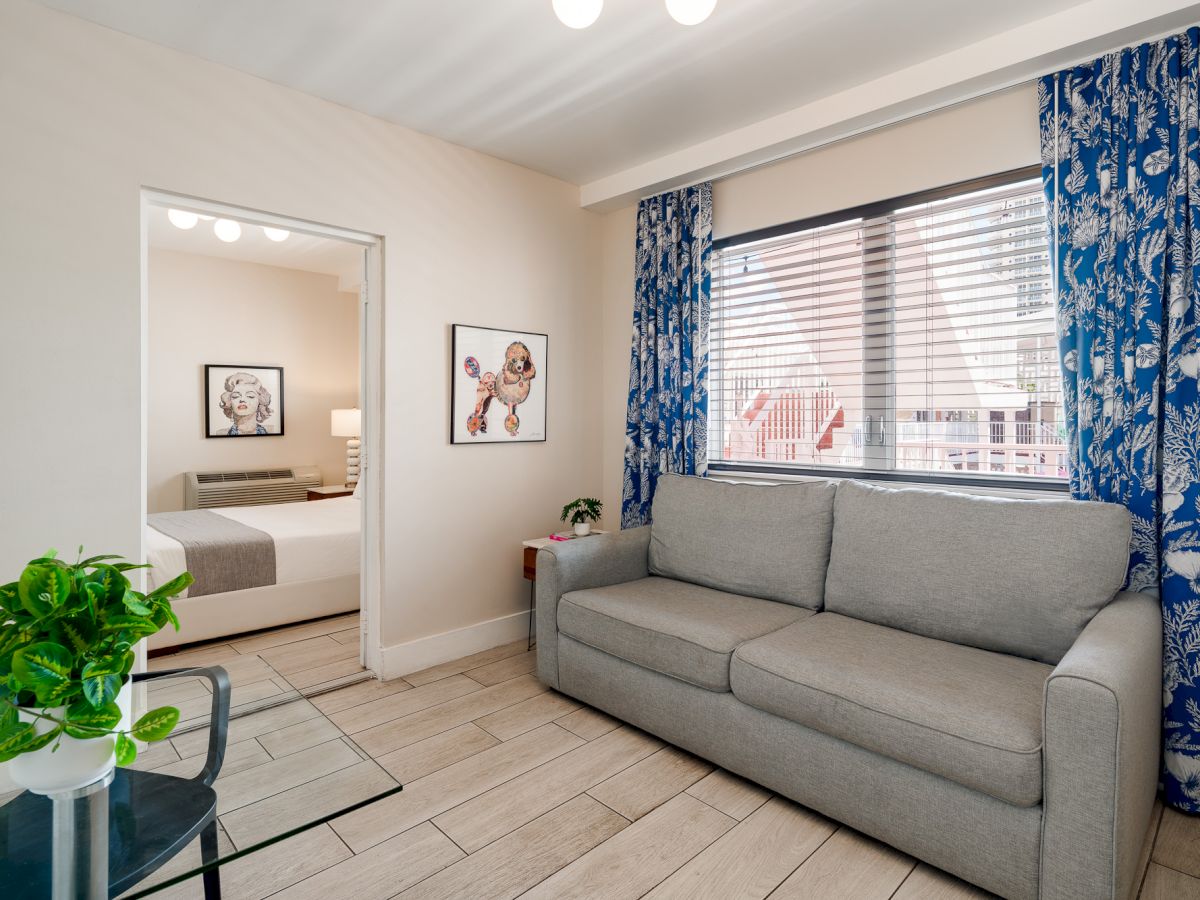 A bright living room with a gray sofa, blue patterned curtains, a window with blinds, a glass dining table, and a doorway to a bedroom; plants add greenery.